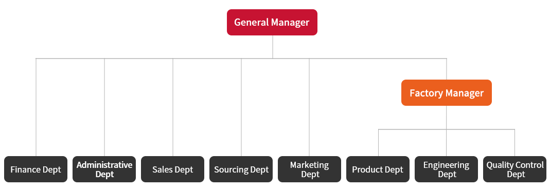 organizational structure of DAYE